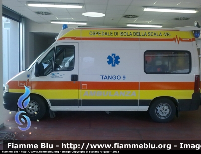 Fiat Ducato III Serie
Azienda U.L.S.S. 22 Bussolengo
Ospedale di Isola Della Scala (VR)
Infermierizzata "TANGO 9"
Allestimento Orion
Parole chiave: Fiat Ducato_IIISerie Ambulanza