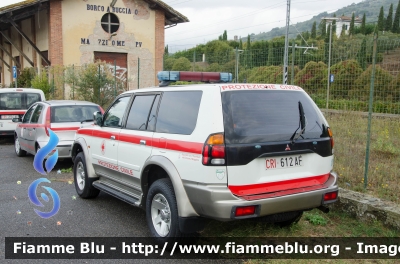 Mitsubishi Pajero II serie
Croce Rossa Italiana
Comitato di Buggiano - Montecatini Terme (PT)
CRI 612 AF
Parole chiave: Mitsubishi Pajero_IIserie CRI612AF