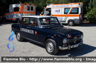 Alfa Romeo Giulia Super 1.6
Carabinieri
Autovettura storica
EI 454007
Parole chiave: Alfa_Romeo Giulia_Super_1_6 EI454007