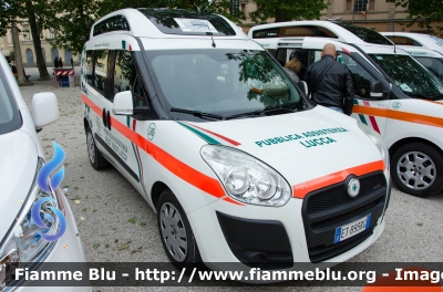 Fiat Doblò III serie
S36 - Pubblica Assistenza Croce Verde Lucca
Sezione Garfagnana - Oltreserchio - Guamo - Media Valle
Allestito Maf
Parole chiave: Fiat Doblò_IIIserie