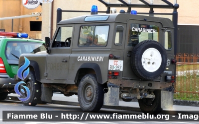 Land-Rover Defeder 90
Arma dei Carabinieri
 Comando Carabinieri Unità per la tutela Forestale, Ambientale e Agroalimentare
 CC BU 257
Parole chiave: Land-Rover / Defeder_90 / CCBU257