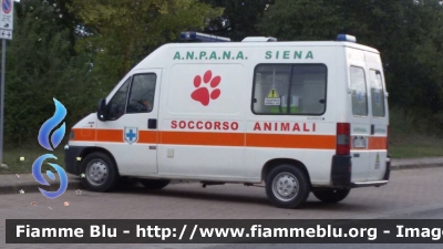 Fiat Ducato II serie
A.N.P.A.N.A Siena
Allestita MAF
Soccorso Animali
Guardie Ecozoofile
Parole chiave: Fiat Ducato_IIserie Ambulanza