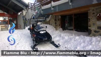Bombardier Intercom Ski-Doo
Carabinieri
Soccorso Alpino
Parole chiave: Bombardier Intercom Ski-Doo