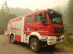 pompieri_volontari_Moggio_Udinese.jpg