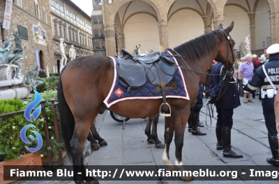 Reparto a cavallo
Polizia Municipale Firenze
Reparto a cavallo
Parata festa del Corpo 2011
Parole chiave: Reparto_a_cavallo