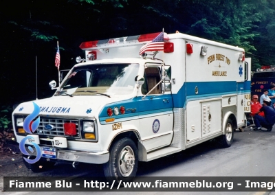 Ford Ecoline
United States of America-Stati Uniti d'America
Penn Forest Twp PA Ambulance
Parole chiave: Ambulanza Ambulance