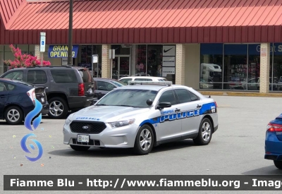 Ford Taurus
United States of America - Stati Uniti d'America
Kannapolis NC Police
