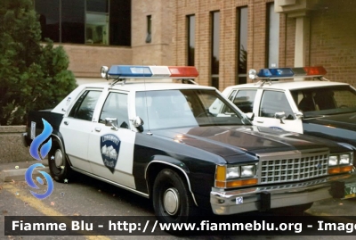Ford LTD
United States of America-Stati Uniti d'America
Longmont CO Police
