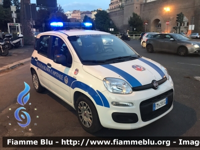 Fiat Nuova Panda II serie 
Polizia Roma Capitale
Parole chiave: Fiat Nuova_Panda_II_serie
