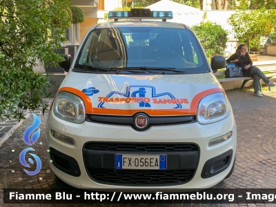 Fiat Nuova Panda II serie
Mater Dei
Trasporto Organi e Sangue
Allestimento Gruppo MC

Parole chiave: Fiat / Nuova_Panda_IIserie