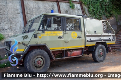 Iveco VM90
Corpo Forestale Regione Sicilia
Servizio Antincendio
Parole chiave: Iveco VM90