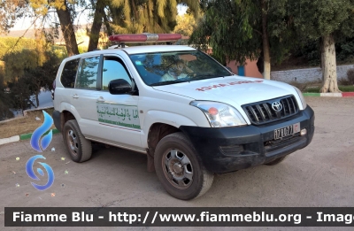 Toyota Land Cruiser
 المملكة المغربية - ⵜⴰⴳⴻⵍⴷⵉⵜ ⵏ ⵍⵎⴻⵖⵔⵉⴱ - Regno del Marocco
Initiative Nationale pour le Développement Humain 
