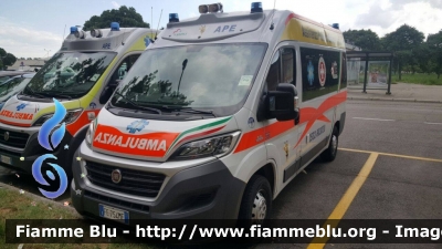 Fiat Ducato X290
Assistenza Pubblica Estense
Ambulanza allestita Maf
APE 7
Parole chiave: Fiat Ducato_X290 Ambulanza