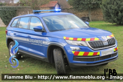 Skoda Karoq
France - Francia
Gendarmerie
