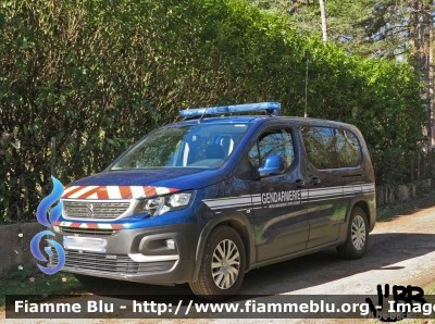 Peugeot Expert IV serie
France - Francia
Gendarmerie Nationale
