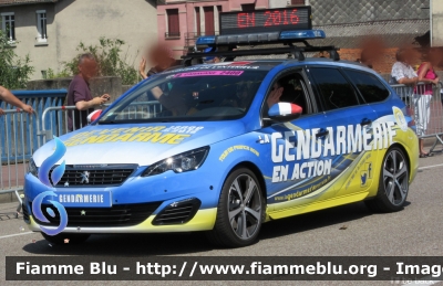 Peugeot 308 
France - Francia
Gendarmerie Nationale
Veicolo campagna di reclutamento Tour de France 2016
