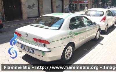 Alfa Romeo 156 I serie
Guardia Nazionale Ambientale
autovettura 41
Parole chiave: Alfa_Romeo_156_Iserie