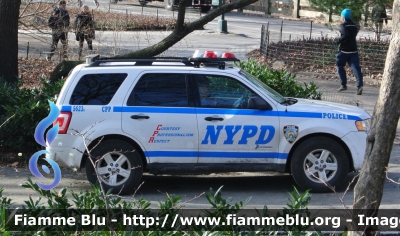 ?
United States of America - Stati Uniti d'America
New York Police Department (NYPD)
Central Park Precinct
