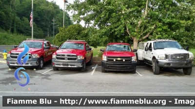 Dodge Ram
United States of America - Stati Uniti d'America
Gatlinburg TN Fire Department
