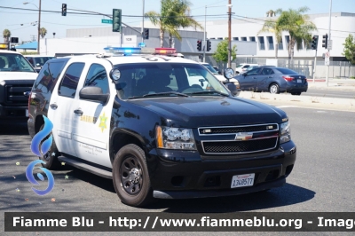 Chevrolet Suburban
United States of America - Stati Uniti d'America
Los Angeles County Sheriff Department
LASD
