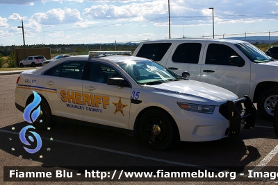 Ford Taurus
United States of America-Stati Uniti d'America
McKinley County NM Sheriff
