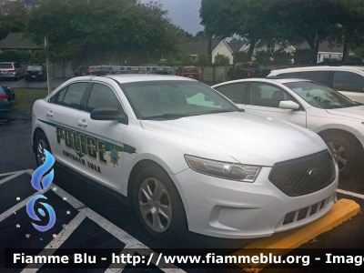 Ford Taurus
United States of America-Stati Uniti d'America 
Emerald Isle NC Police
