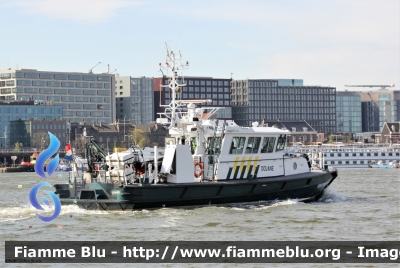 Imbarcazione
Nederland - Netherlands - Paesi Bassi
Douane
Kokmeeuw
