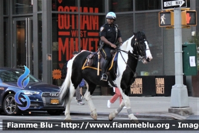 Unità a cavallo
United States of America-Stati Uniti d'America
New York Police Department
Mounted Unit
