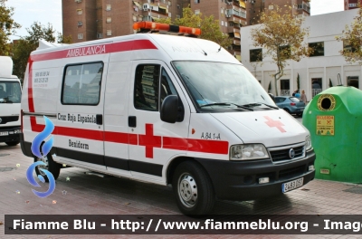 Fiat Ducato III serie
España - Spagna
Creu Roja Benidorm
Parole chiave: Ambulanza Ambulance Fiat Ducato_IIIserie