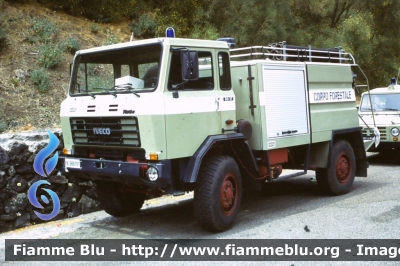 Iveco 80-17
Corpo Forestale Regione Sicilia
Servizio Antincendio Boschivo
