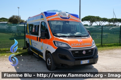 Fiat Ducato X290 
Misericordia di Tortona (AL)
Allestimento MAF 
Parole chiave: Fiat Ducato_X290 Ambulanza