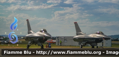 General Dynamics F-16C Fighting Falcon
United States of America - Stati Uniti d'America
US Air Force

