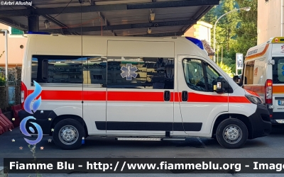 Fiat Ducato X290
Ambulanza Dimostrativa
Allestimento MAF 
Sede Pubblica Assistenza Volontari del Soccorso S.Anna Rapallo (GE)

Parole chiave: Fiat Ducato_X290 Ambulanza 