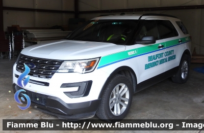 Ford Explorer
United States of America - Stati Uniti d'America
Beaufort County NC EMS
