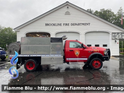 RAM
United States of America-Stati Uniti d'America
Brookline NH Fire Dept
