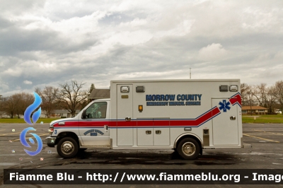 Ford E-450
United States of America-Stati Uniti d'America
Morrow County EMS OH
Parole chiave: Ambulanza Ambulance
