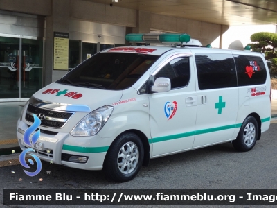 Hyundai
대한민국 - 大韓民國 - Republic of Korea - Repubblica di Corea
Ambulances
