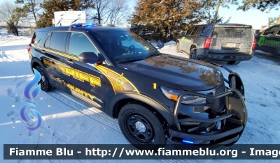 Ford Explorer
United States of America - Stati Uniti d'America
Rice County MN Sheriff
