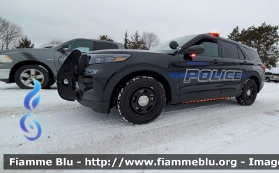 Ford Explorer
United States of America - Stati Uniti d'America
Buffalo MN Police

