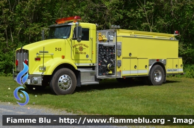 Kenworth T800
United States of America - Stati Uniti d'America
North River Valley WV Volunteer Fire Company
