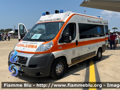 Fiat Ducato X250
Ospedale Pediatrico Bambin Gesù - Roma
Rete nazionale ECMO
allestimento Bollanti
Parole chiave: Fiat Ducato_X250 Ambulanza