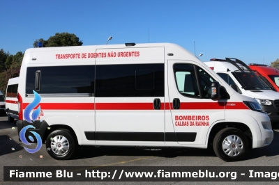 Fiat Ducato X290
Portugal - Portogallo
Bombeiros das Caldas da Rainha
Parole chiave: Ambulanza Ambulance