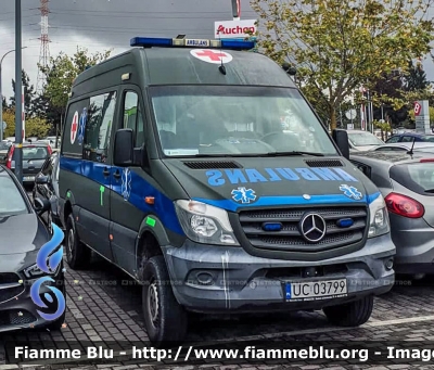 Mercedes-Benz Sprinter III serie restyle
Rzeczpospolita Polska - Polonia
Wojska Lądowe - Esercito Polacco
Parole chiave: Ambulance Ambulanza