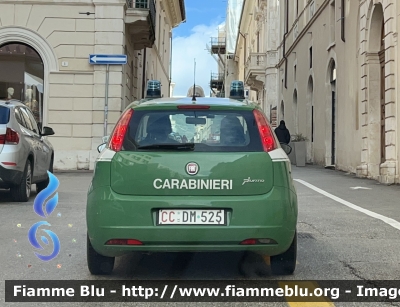 Fiat Grande Punto 
Carabinieri 
Comando Carabinieri Unità per la Tutela Fotestale Ambientale ed Agroalimentare 
CC DM 525
Parole chiave: Fiat Grande_Punto CCDM525