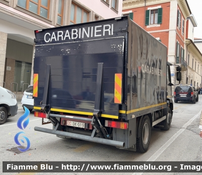 Iveco EuroCargo I serie 
Carabinieri 
Comando Carabinieri Banca D’Italia 
CC DK 019
Parole chiave: Iveco EuroCargo_Iserie CCDK019