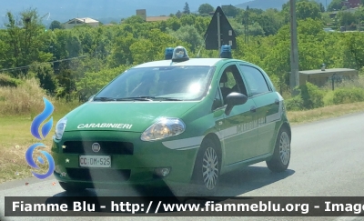 Fiat Grande Punto 
Carabinieri 
Carabinieri unità per la tutela forestale Ambientale ed Agroalimentare 
CC DM 525
Parole chiave: Fiat_Grande Punto Carabinieri Forestali