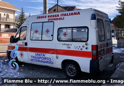 Fiat Ducato II serie 
Croce Rossa Italiana 
Comitato di Ovindoli 
Unità Trasporto Veterinario 
Allestimento Bollanti 
CRI 15645
Parole chiave: Fiat Ducato_IIserie Ambulanza CRI15645