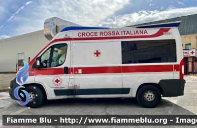 Fiat Ducato X290
Croce Rossa Italiana 
Comitato di Chieti
Allestimento Orion
CRI 574 AF
Parole chiave: Fiat Ducato_X290 Ambulanza CRI574AF
