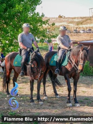 Reparto a cavallo 
Corpo Forestale - Regione Siciliana
Reparto a Cavallo 
Parole chiave: Reparto_a_cavallo