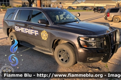 Chevrolet Taohe
United States of America-Stati Uniti d'America
Freestone County TX Sheriff
